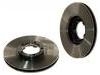 剎車盤 Brake Disc:5 029 815