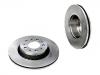 剎車盤 Brake Disc:40553052