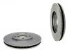 剎車盤 Brake Disc:5073 069AA