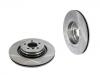 剎車(chē)盤(pán) Brake Disc:34 21 1 166 131