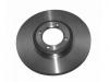 剎車盤 Brake Disc:79 10 007 377
