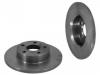 剎車盤 Brake Disc:10022442
