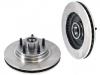 剎車盤 Brake Disc:E45Y-1102-A