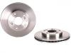 剎車盤 Brake Disc:MR128153